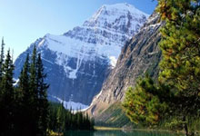 布莱顿近期成绩稳健，球队整体实力得到认可