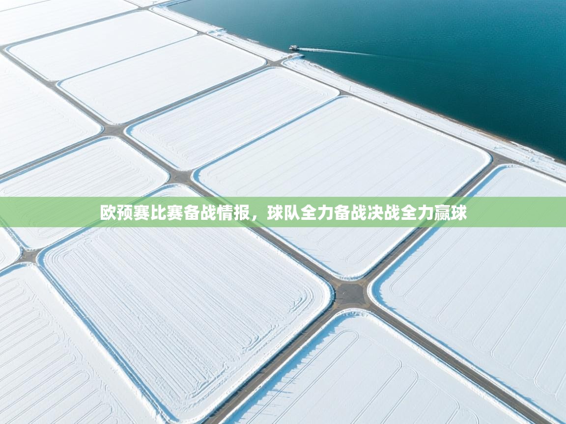 欧预赛比赛备战情报，球队全力备战决战全力赢球  第1张