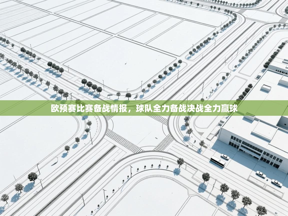 欧预赛比赛备战情报，球队全力备战决战全力赢球  第2张